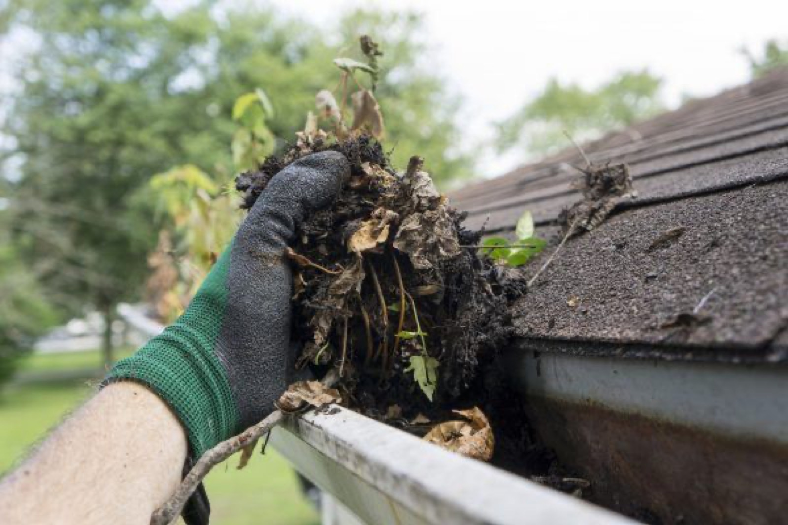 Raindrop Gutter Guard Installation LaGrange